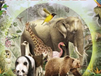 enciclopedia de los animales.jpg