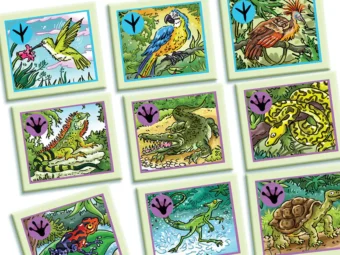 juego de mesa expedicion amazonas 03.webp